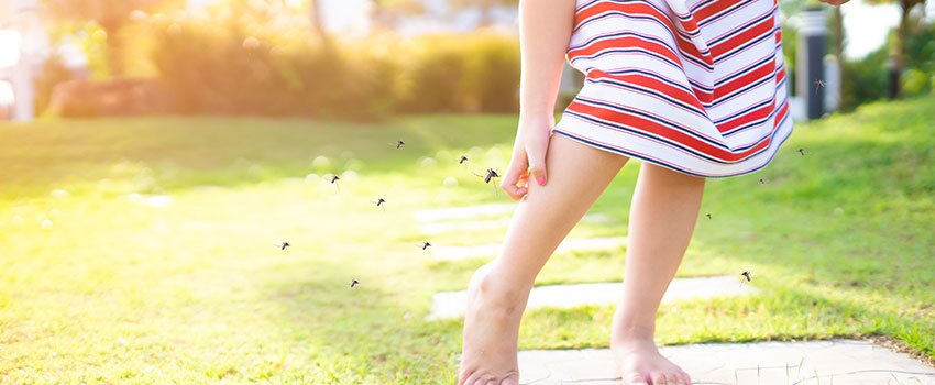 How Can I Prevent Bug Bites?